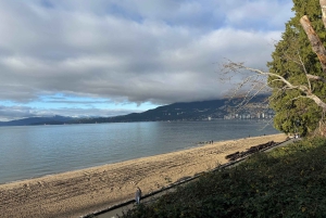 Vancouver: City Car Tour, Stanley Park, Granville Island