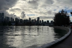 Vancouver: City Car Tour, Stanley Park, Granville Island