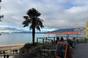 Vancouver: City Car Tour, Stanley Park, Granville Island