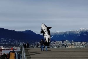 Vancouver: City Car Tour, Stanley Park, Granville Island