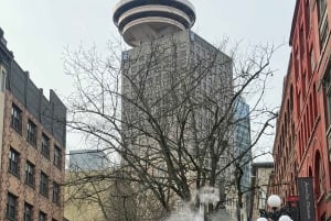 Vancouver: City Car Tour, Stanley Park, Granville Island