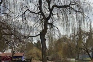 Vancouver: City Car Tour, Stanley Park, Granville Island