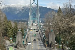 Vancouver: City Car Tour, Stanley Park, Granville Island