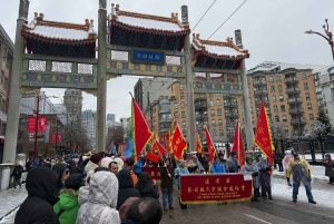 Vancouver : visite en voiture, Stanley Park, Granville Island