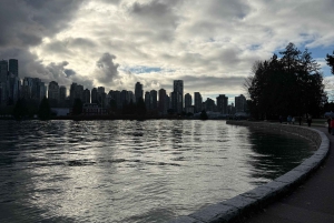Vancouver : visite en voiture, Stanley Park, Granville Island