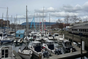 Vancouver : visite en voiture, Stanley Park, Granville Island