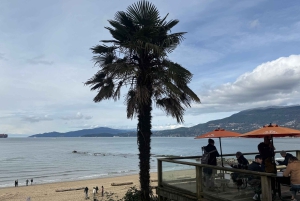 Vancouver : visite en voiture, Stanley Park, Granville Island