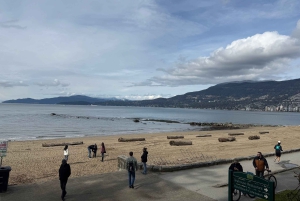 Vancouver : visite en voiture, Stanley Park, Granville Island
