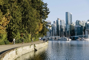 Vancouver City day tour: Granville Island & Stanley Park