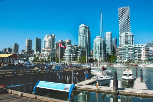 Vancouver City day tour: Granville Island & Stanley Park