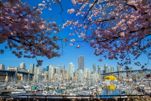 Vancouver: City & Granville Island Sightseeing Trolley Tour