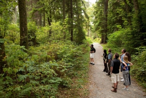 Vancouver: City Highlights Tour & The Lookout