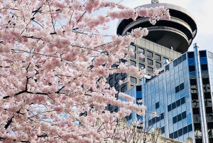 Vancouver: City Highlights Tour & The Lookout