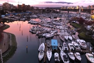 Vancouver: City Highlights Tour with Hotel Transfers