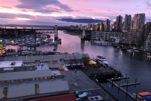 Vancouver: City Highlights Tour with Hotel Transfers