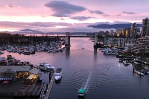 Vancouver: City+Lookout+Capilano Suspension Bridge ingresso