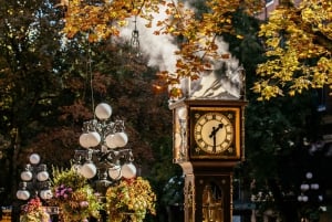 Vancouver: City + Lookout Tour & Option to Add YVR Drop-Off