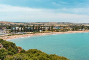 Da cidade de Vancouver para a costa norte e Squamish