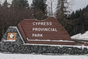Экскурсия по Ванкуверу и приключение в Cypress Mountain Private