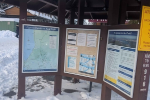 Экскурсия по Ванкуверу и приключение в Cypress Mountain Private