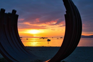 Экскурсия по Ванкуверу и приключение в Cypress Mountain Private