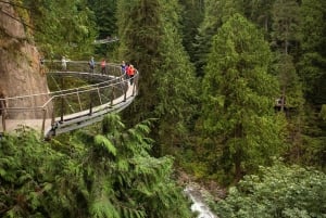 From Zurich: Mount Titlis Day Tour