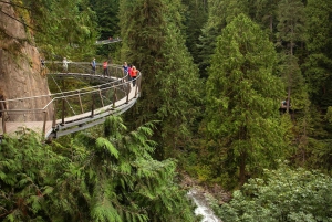 Vancouver: Visita a la ciudad y entrada al Puente Colgante de Capilano