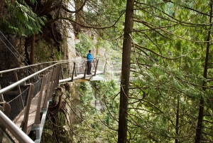 Vancouver: Visita a la ciudad y entrada al Puente Colgante de Capilano