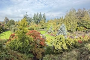 バンクーバー市内ツアー、CAR、グランドビル・アイランド、クイーン・エリザベス/チャイナタウン