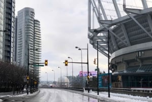 バンクーバー市内ツアー、CAR、グランドビル・アイランド、クイーン・エリザベス/チャイナタウン