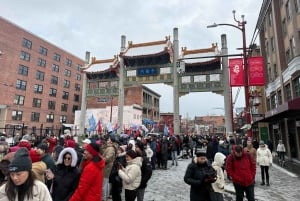 バンクーバー市内ツアー、CAR、グランドビル・アイランド、クイーン・エリザベス/チャイナタウン