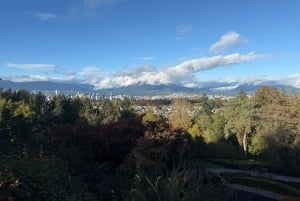 バンクーバー市内ツアー、CAR、グランドビル・アイランド、クイーン・エリザベス/チャイナタウン