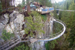 Vancouver: City Tour with Capilano Suspension Bridge