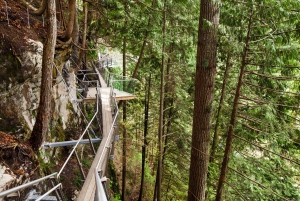 Vancouver: City Tour with Capilano Suspension Bridge