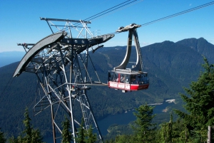 Vancouver: City Tour with Capilano Suspension Bridge