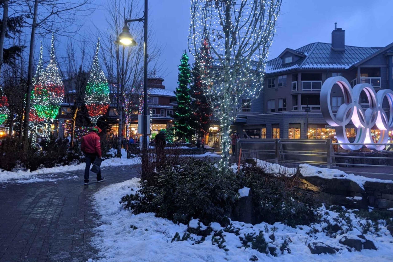 Vancouver City Tour med Look Out og Whistler-høydepunkter