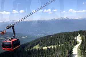 Vancouver City Tour With Look Out and Whistler Highlights