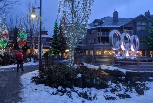 Vancouver City Tour With Look Out and Whistler Highlights