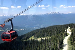 Vancouver City Tour med Look Out og Whistler-høydepunkter