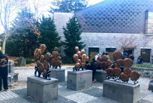 Vancouver City Tour med Look Out og Whistler-høydepunkter