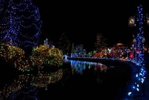 バンクーバー：市内とヴァンデューセン植物園のホリデーライトツアーをご覧ください