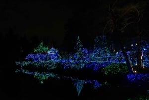バンクーバー：市内とヴァンデューセン植物園のホリデーライトツアーをご覧ください