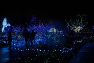 バンクーバー：市内とヴァンデューセン植物園のホリデーライトツアーをご覧ください