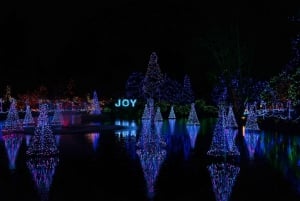 バンクーバー：市内とヴァンデューセン植物園のホリデーライトツアーをご覧ください