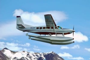 Vancouver: Coastal Mountain Scenic Flight Experience