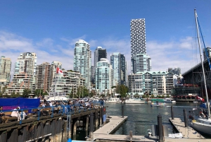 Vancouver Car Tour: See All City Attractions/Save Time&Money