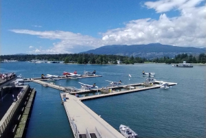 Vancouver Car Tour: See All City Attractions/Save Time&Money