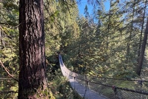 Vancouver: Deep Cove, Lynn Canyon & Quay Market Tour