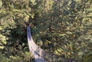 Vancouver: Deep Cove, Lynn Canyon & Quay Market Tour