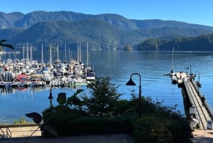 Vancouver: Deep Cove, Lynn Canyon & Quay Market Tour